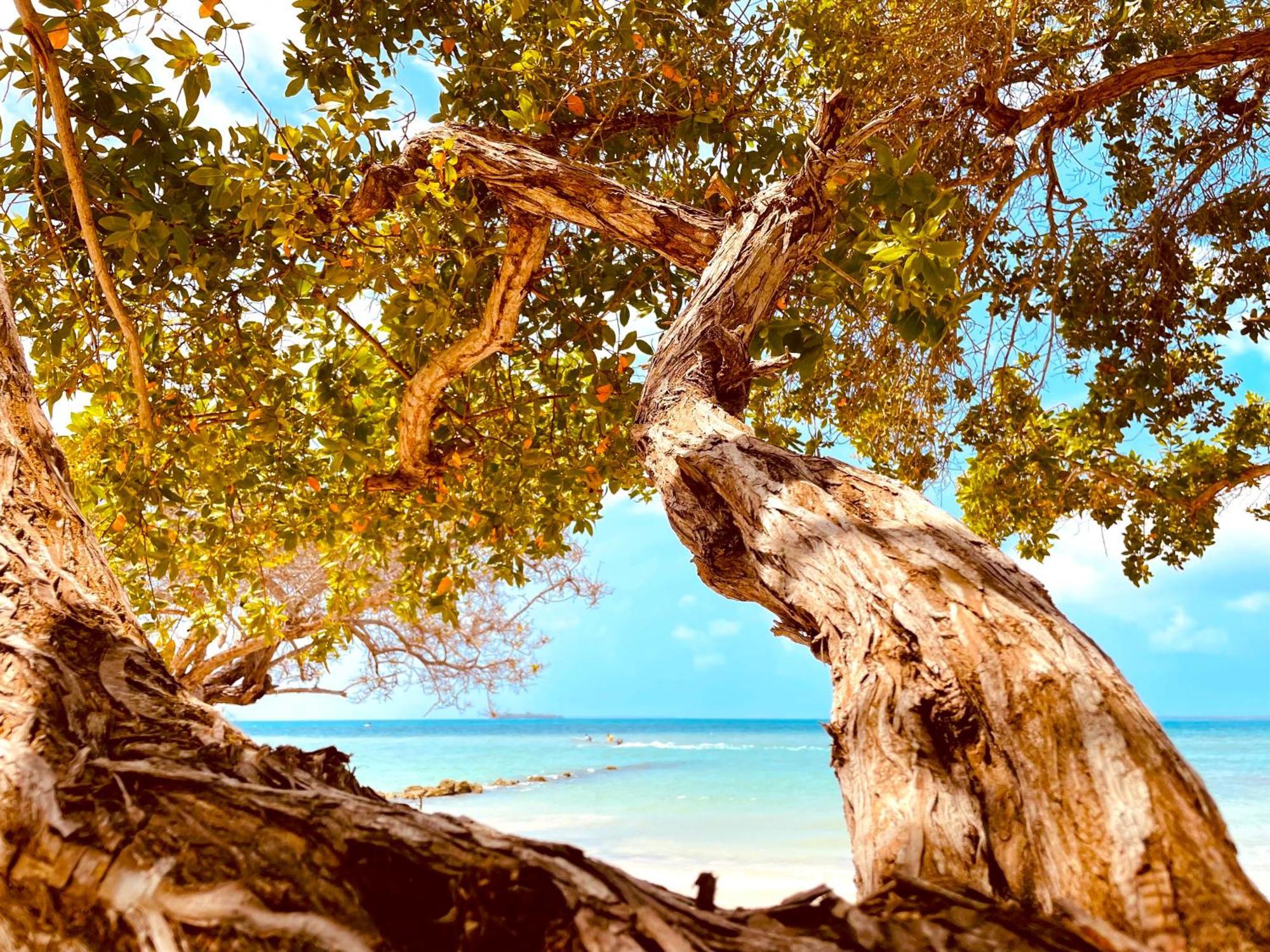 Carey Beach Isla Barú Exterior foto